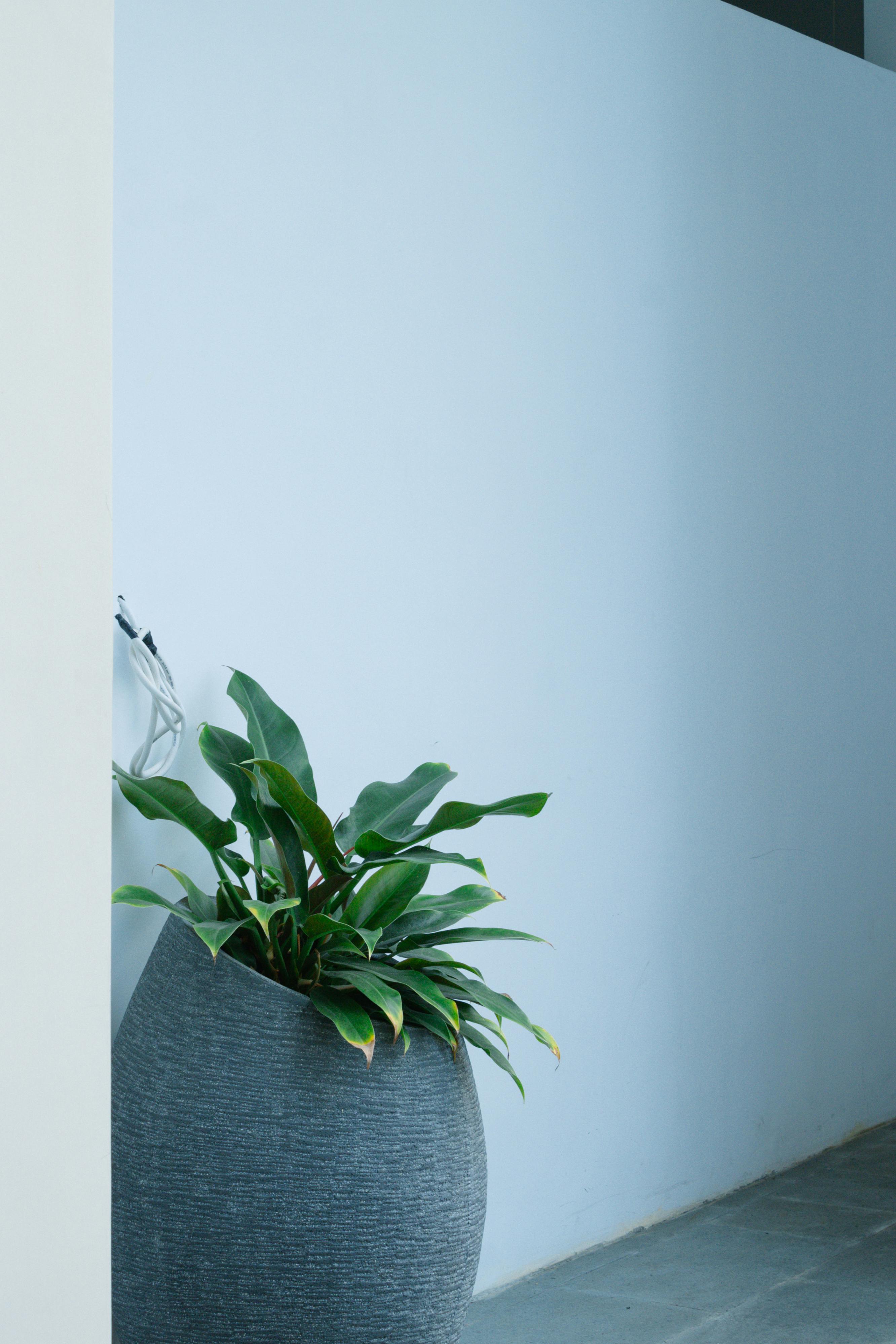 Galeriebild 6 von 7: Kinderzimmer mit freundlichen Farben.